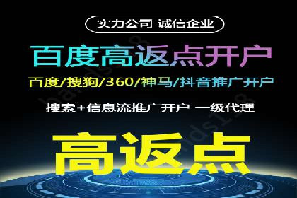 SEM广告创意与执行：成功案例分享
