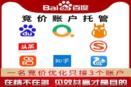 SEM投放策略：成功案例解析
